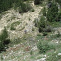 DSC09719