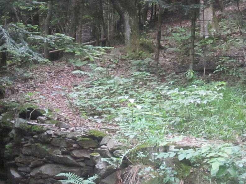 ferrata e mtb in notturna 036