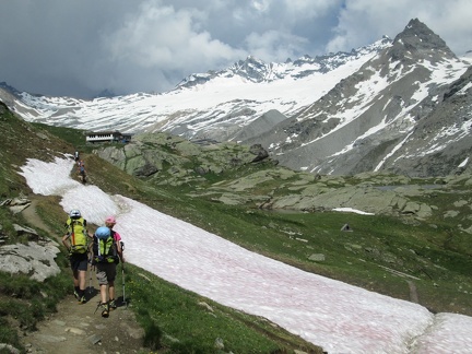 IMG 4392 Refuge des Evettes a 2590m